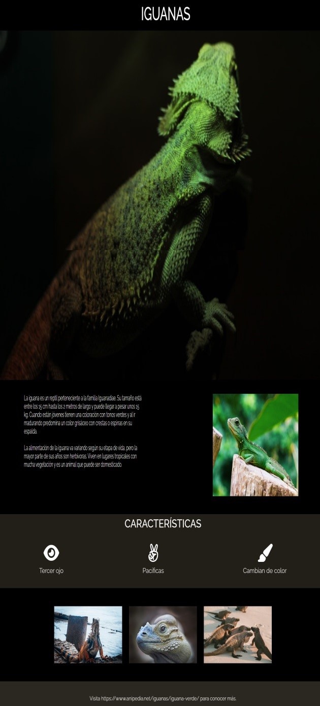 Screenshot donde sale una iguana